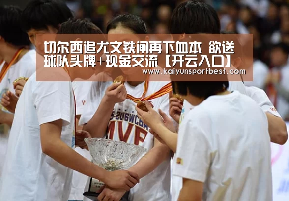 开云入口
